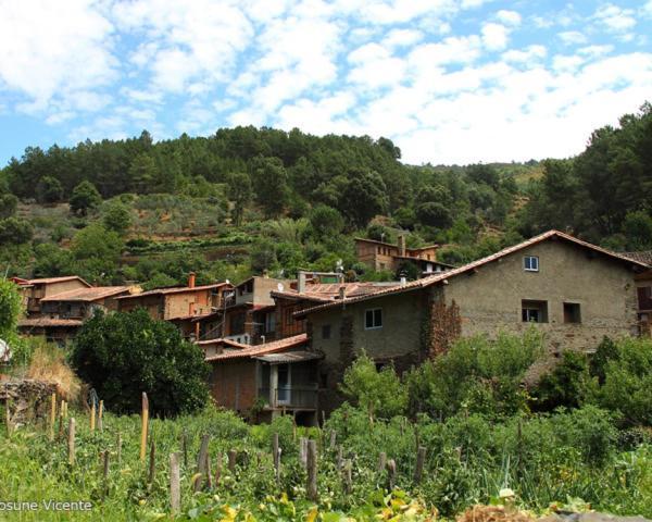 Apartamento Jalama 2B Moraleja Dış mekan fotoğraf